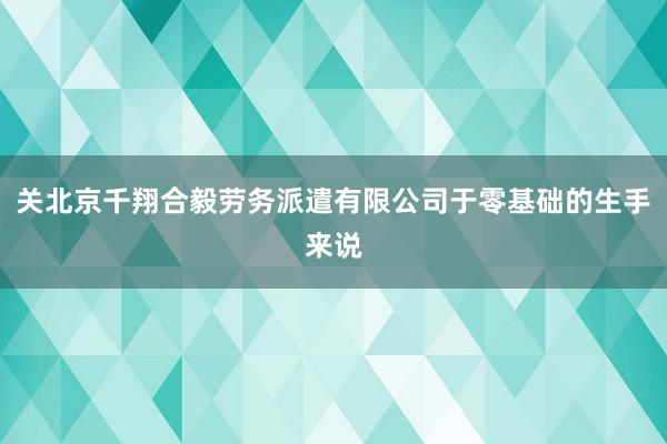 关北京千翔合毅劳务派遣有限公司于零基础的生手来说